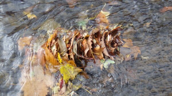 ぎゅうぅぅぅ。