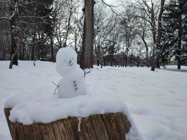 どれもおいしそう