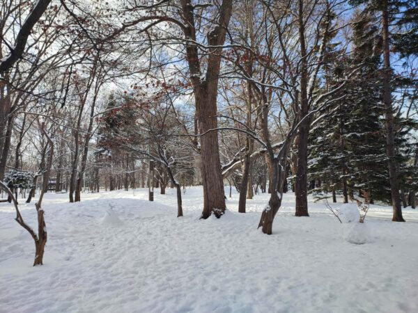 ちょ、遠くない？