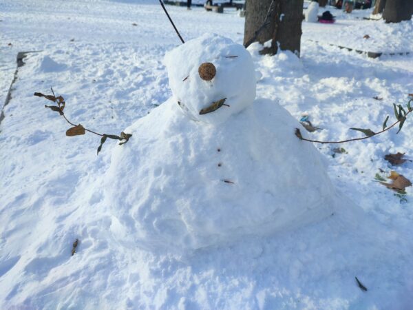 どっからでもかかってきなさい