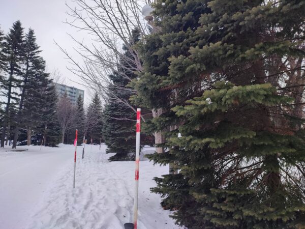 わかったかな？