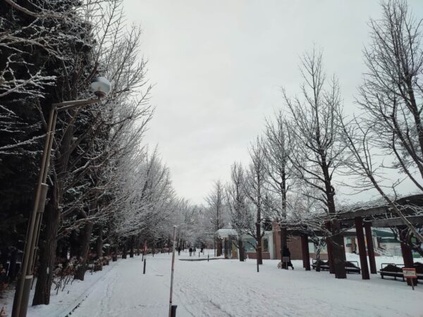 中島公園駅3番出口付近