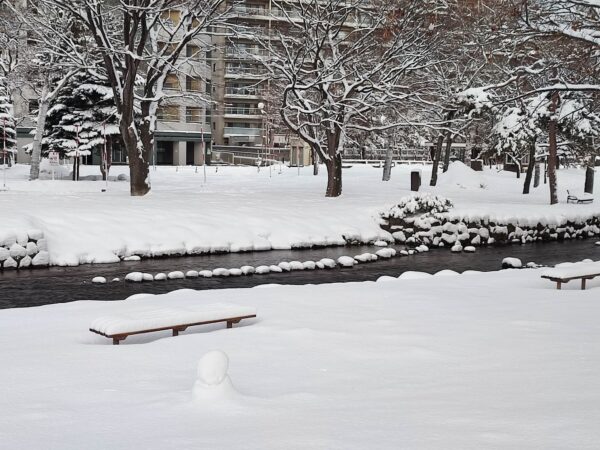 誰が早く石の上を渡れるか選手権