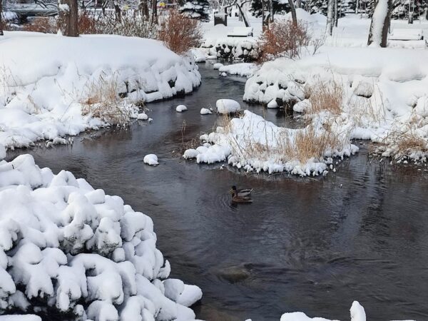 2人でならんでいいね