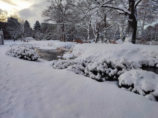 ポコポコかわいい