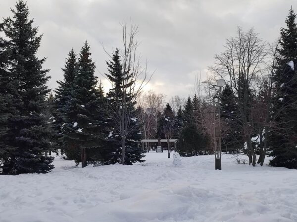 2月5日コンサート中