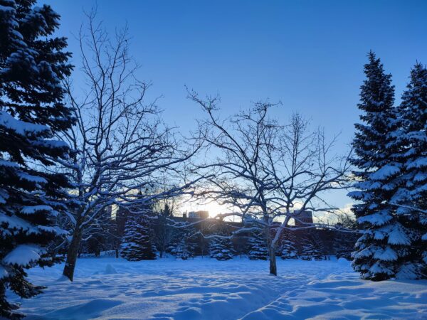自由広場から見える朝日