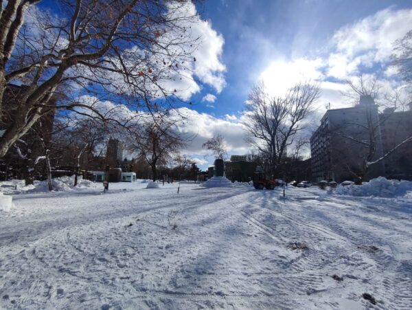今日はこんなに良い天気