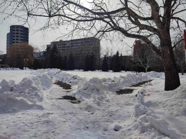 運命の分かれ道