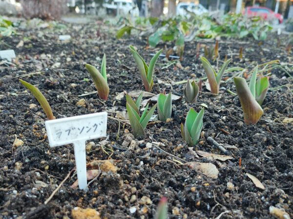 ラブソング・・・