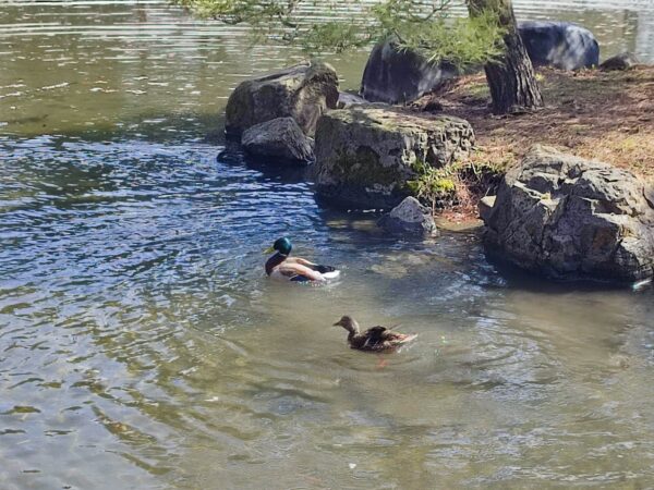 少し乱れてるけど気にしない