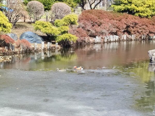 息の合ったシンクロを