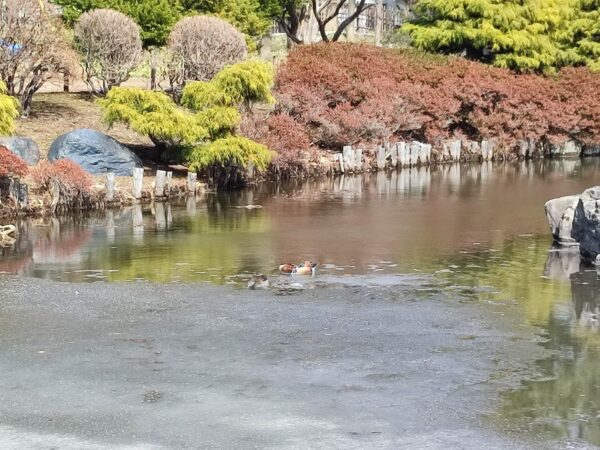 皆さんにお見せしたいと思いま・・