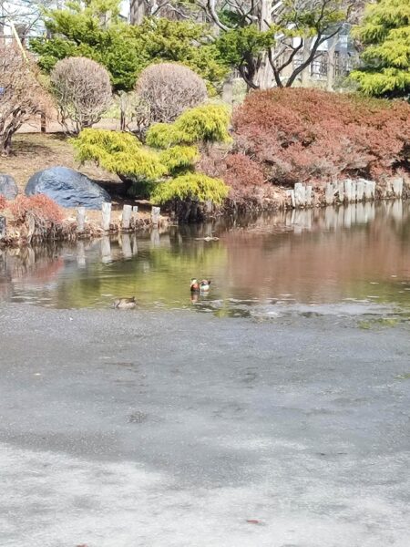 ぼくたちも負けない