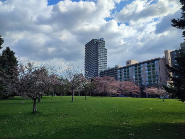 中島体育センター前