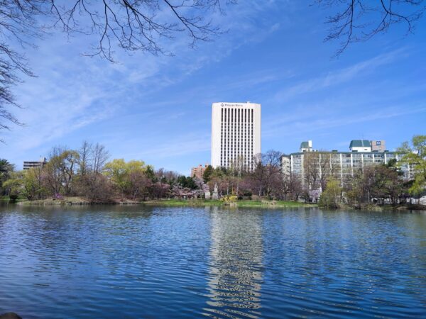 菖蒲池と何かが