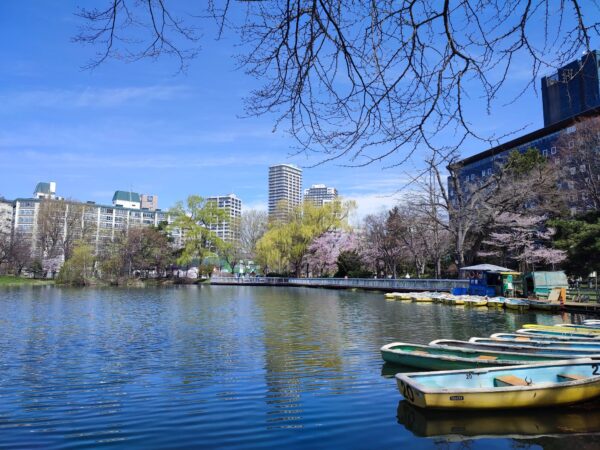 菖蒲池とボートとサクラ