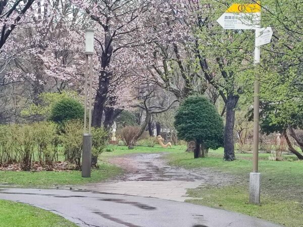 今日も元気に腹筋。