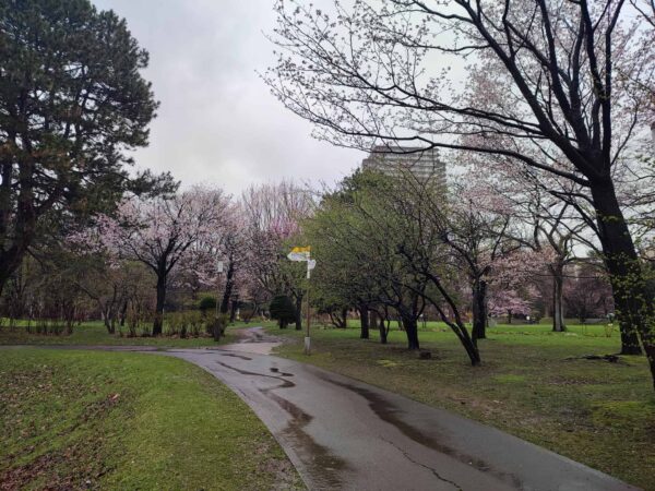 向こう側に香りの広場