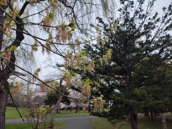 ゴージャスですね