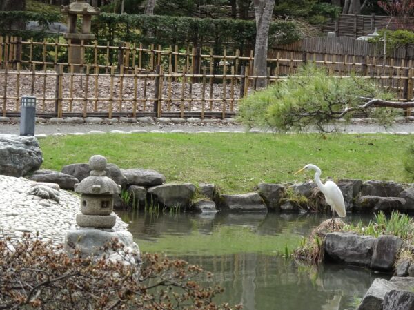 もっとがんばりやー