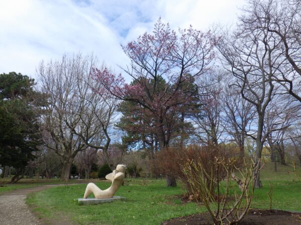 腹筋の真っ最中