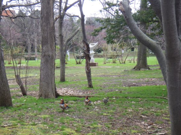 邪魔すんなよ！