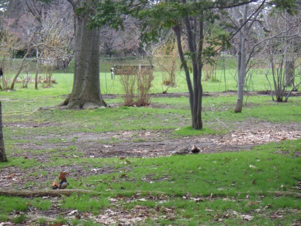 友達でもいいから・・・