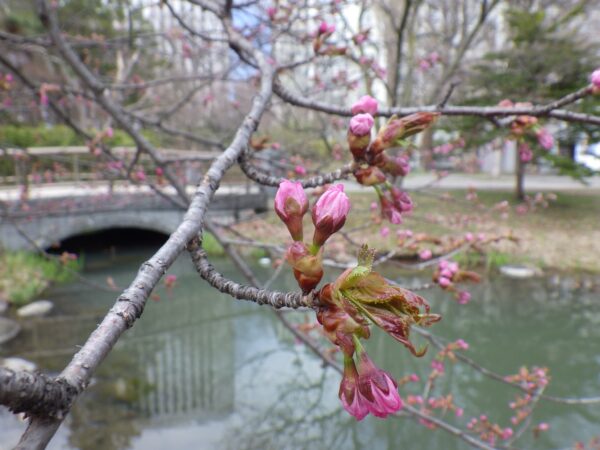 ちょっとセンスある風に撮ってみた