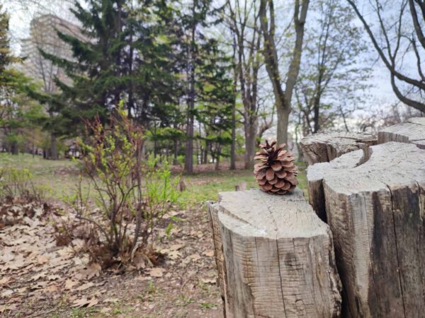 なんもなんも。