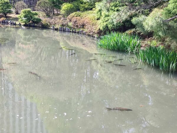 会議中なのでお静かに。