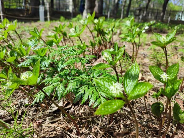 私も忘れないでよ。