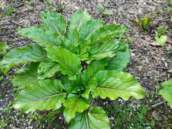 私は誰でしょう。