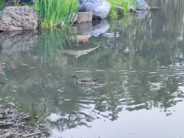 こちらはどなた？