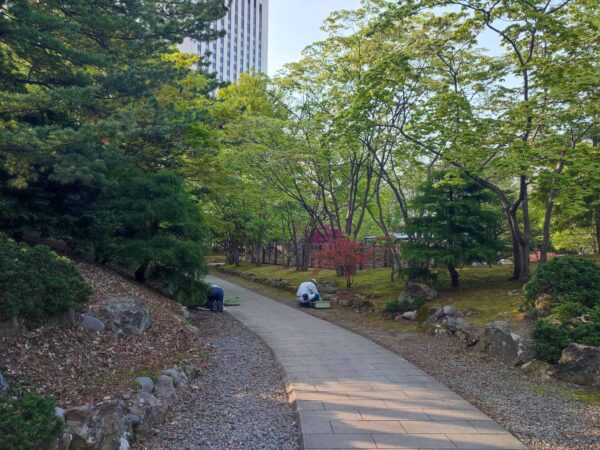 ぬか喜びしたので、ぬか床つくります。