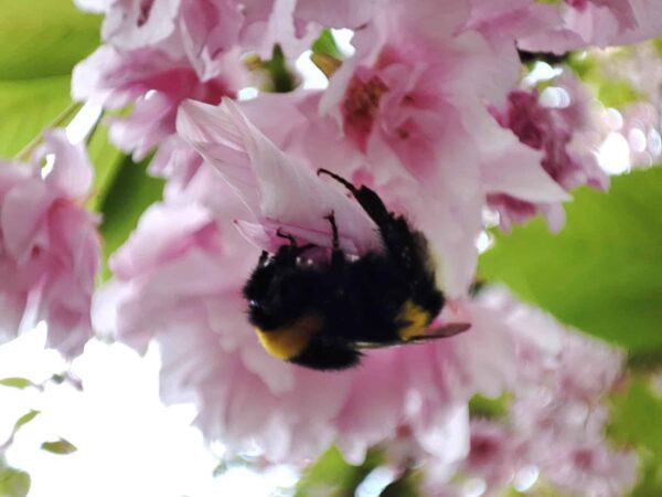 必死な姿かわいい