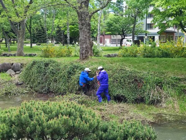 掘り続けたら地球の裏側まで行けるかな？