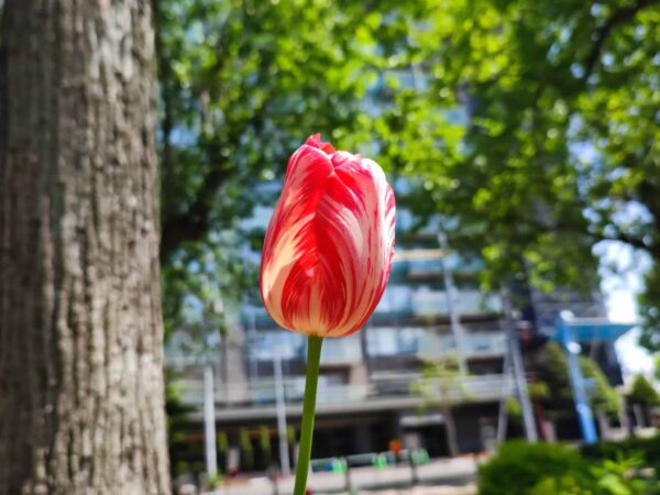 この子ずっと見てられる