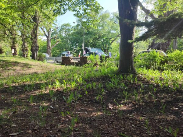 クゲさん生息地域