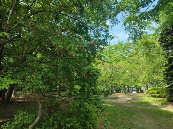 わたしの事も気付いてね