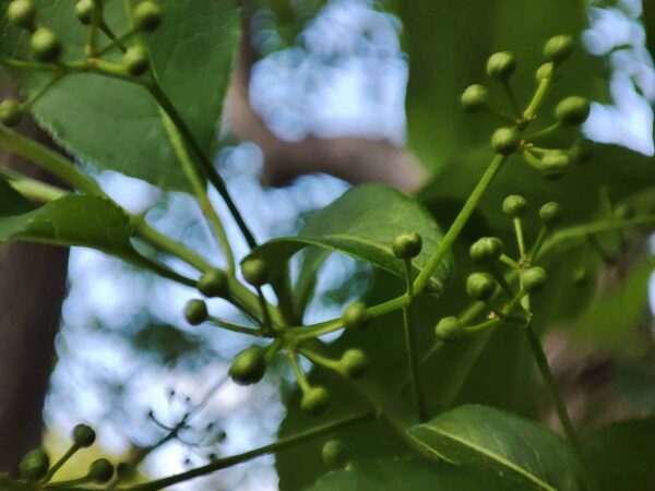 日本庭園南門のそばでお待ちしております