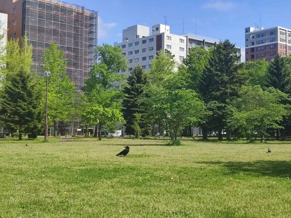 ナンパに失敗の巻。