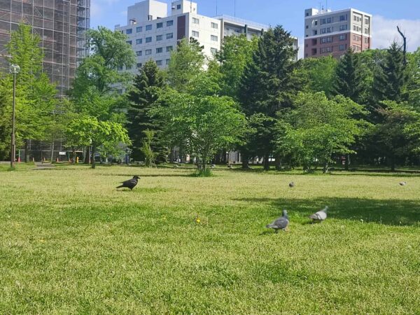 かわいいこ見つけた！