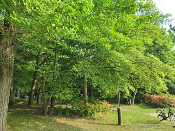 写ってはいけないものシリーズ