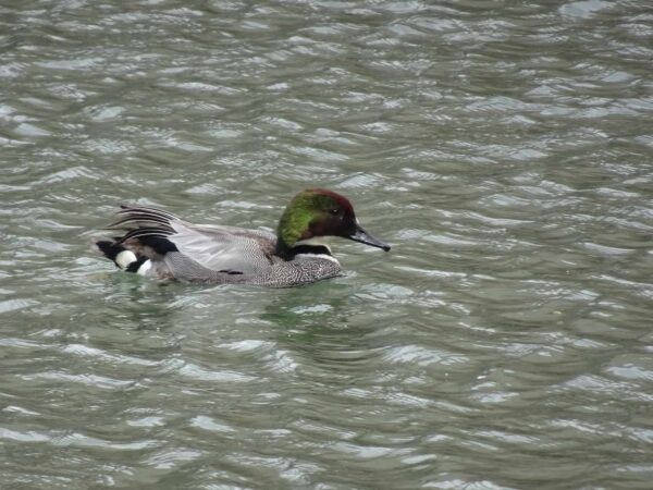 こちらはどなた？