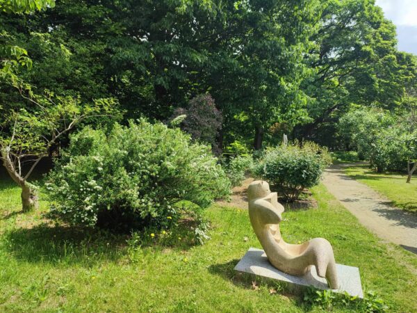 第2種目目　腹筋