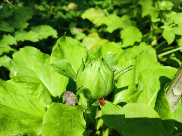 こっちの角度もね