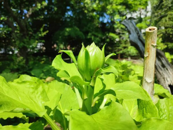 今の私の姿を覚えておいて