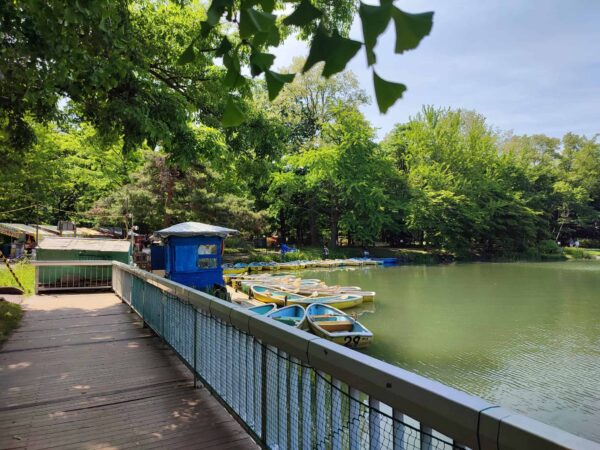 ボートも乗らなきゃ