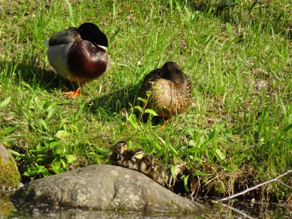 わたしたち頑張って登ったよ